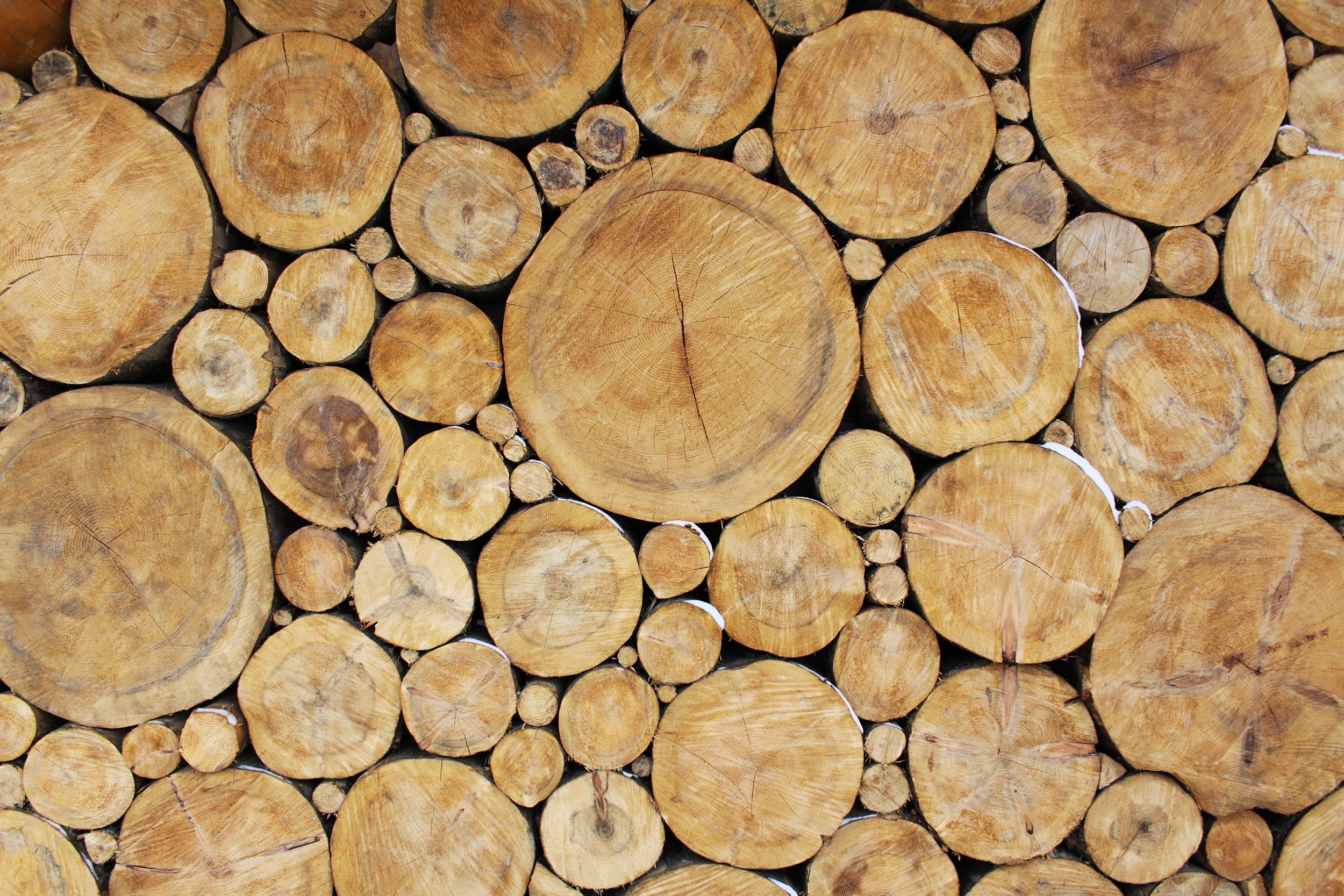 Firewood Image